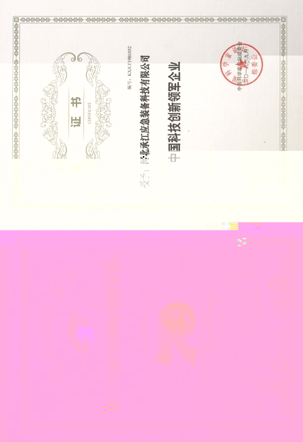 中國科技創新領軍企業證書